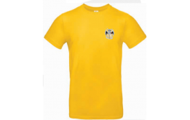 tee shirt sport jaune (Réf PA445C True Yellow)