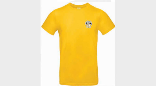 tee shirt sport jaune